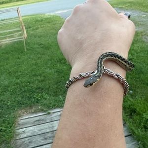 Meet your Posher, Nova